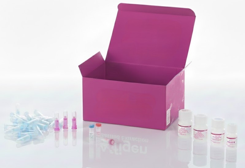Tumores de cabeza y cuello, 48 casos en 96 núcleos (1,5 mm), conjunto 1